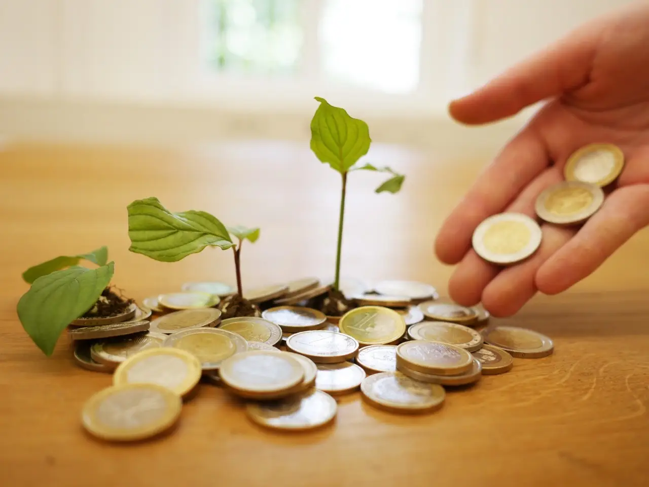 Attenzione a questa tipologia di investimento: potresti non riuscire a recuperare i tuoi soldi