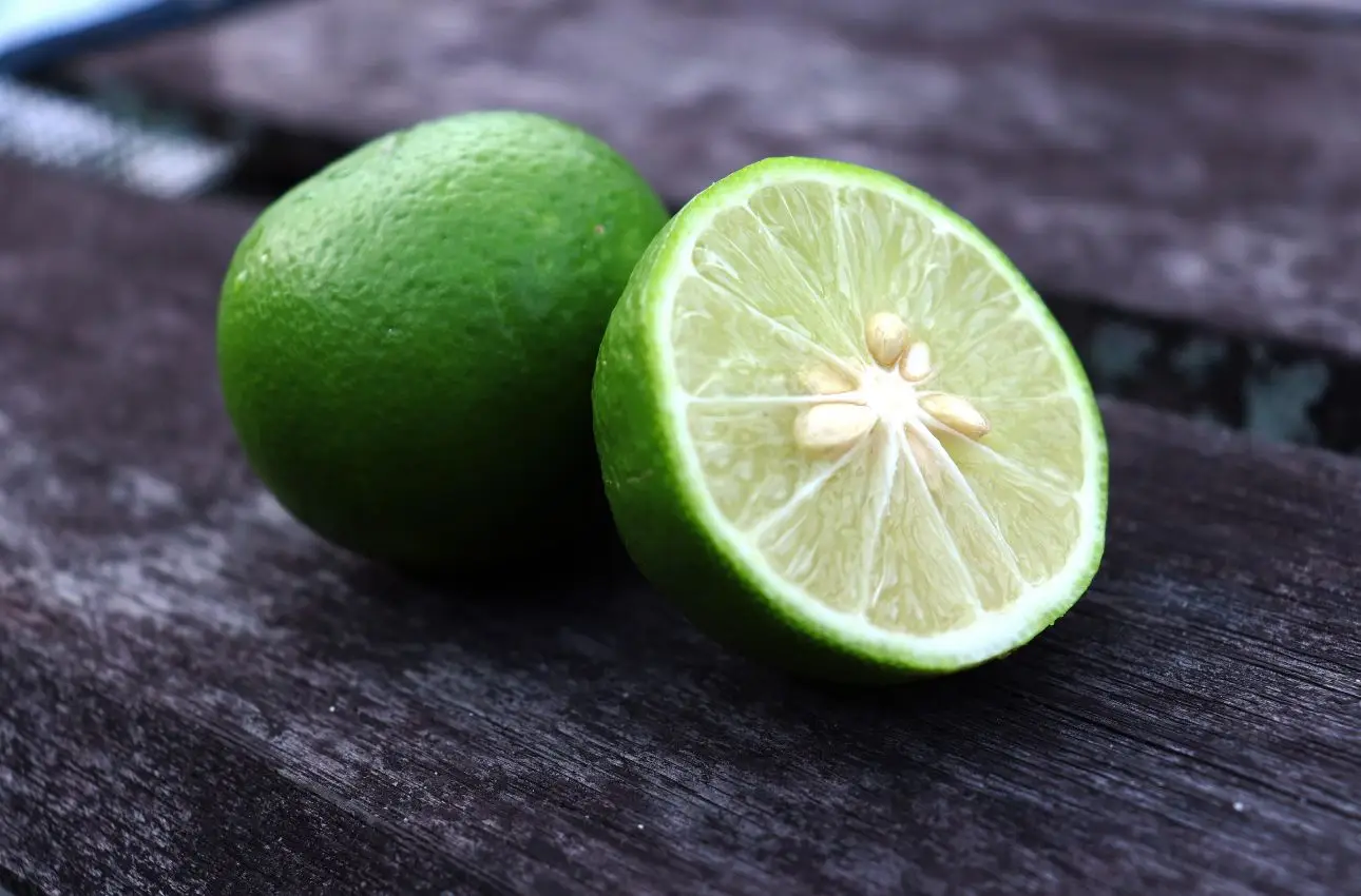 Non sono la stessa cosa: ecco qual è la differenza tra un lime e un limone