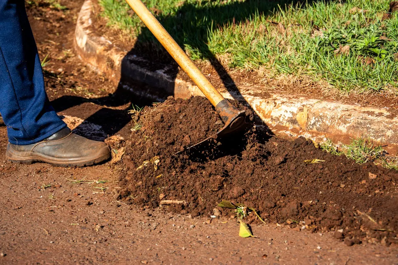 Odia vangare l’orto o il giardino? Ecco l’attrezzo sostitutivo che ti salva la schiena