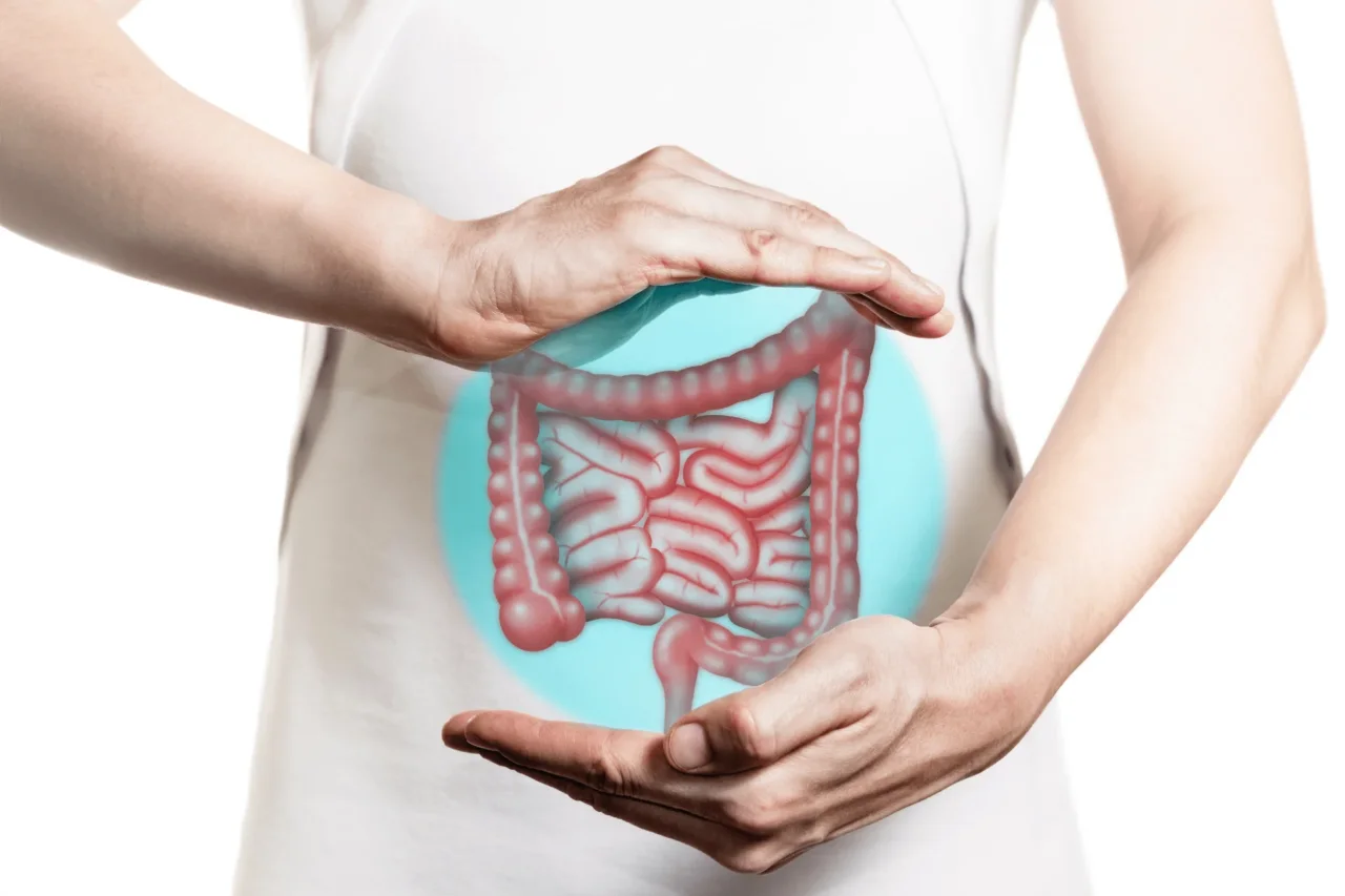 L’organo dimenticato che controlla la tua salute: ecco perché devi prenderti cura dell’intestino