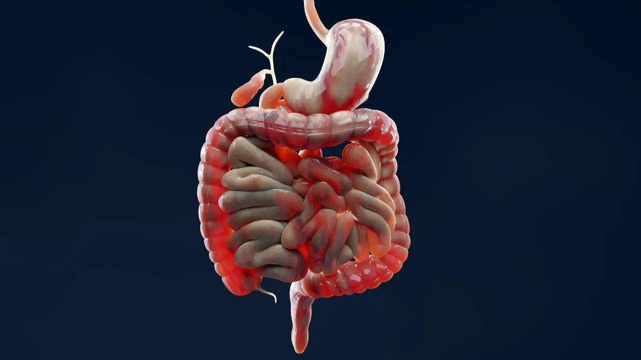 Blocchi improvvisi nell’intestino? Attenzione a questa causa comune ma poco conosciuta